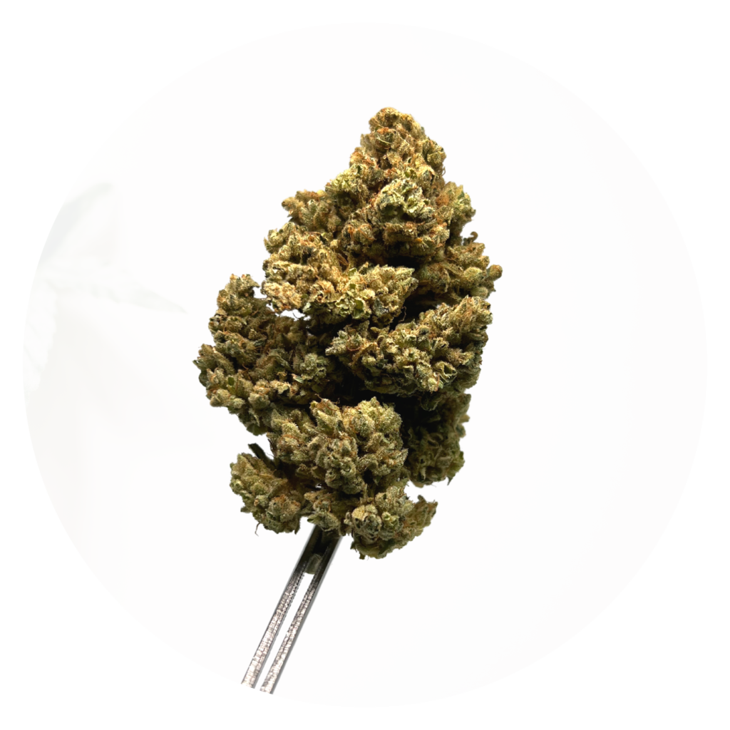 medical-cannabis-flower-puerto-rico