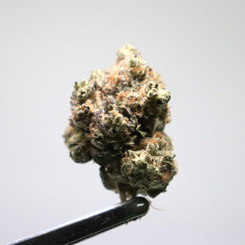 puntonze-medical-cannabis-dispensary